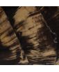 HORN VENEER TUSSUE BOX