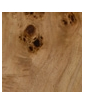 BURL VENERR SOAP DISPENSER