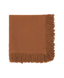 SET OF 2 SEQUOIA BROWN NAPKINS WITH LONG FRINGES