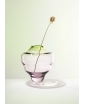 TRDLIK Light Green Glass Vase with a Flower, photo by Anna Pleslova