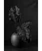 Silky Black Oval vase by Frantisek Jungvirt. Staged photo.