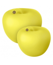 EVA APPLE OF DESIRE IN RAPESEED YELLOW WITH MATTE FINISH