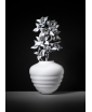 White COCO Glass Vase with flowers. Staged photo