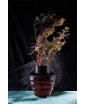 Red WAVY Glass Vase with flowers. Staged photo