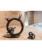 Ciclotte Exercise Bike and Dumbbells in black finish.
