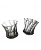 set of two Tornado tumblers