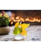 Lime Oranda on the rustic table.
