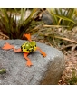 Orange Hopkins Garden Frog Decor displayed on a large stone.