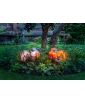 Two AMY outdoor lights in nature.