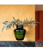 Bonsai Green Wavy Vase - lifestyle image.