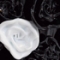 OPULENT BLACK GLASS VASE WITH WHITE FLOWERS
